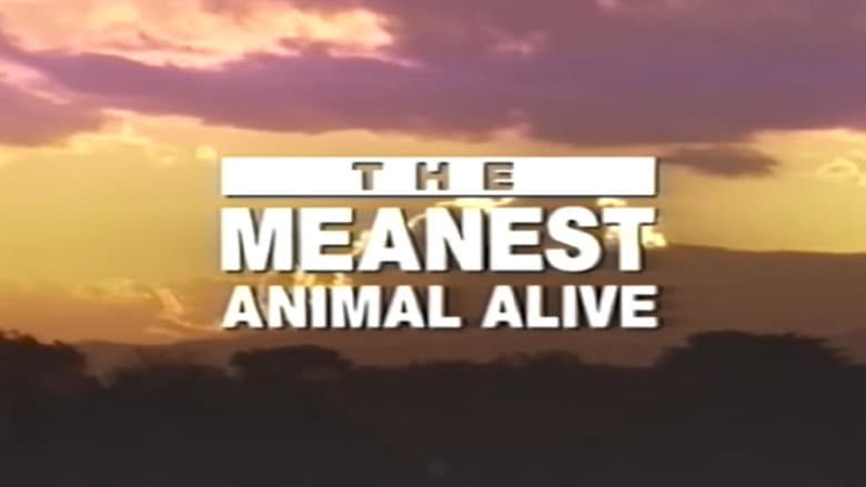 Backdrop from Time Life Animal Oddities: The Meanest Animal Alive