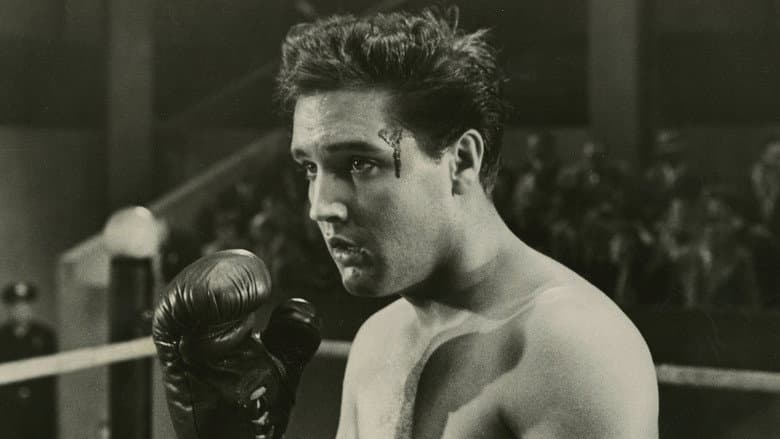 Backdrop from Kid Galahad