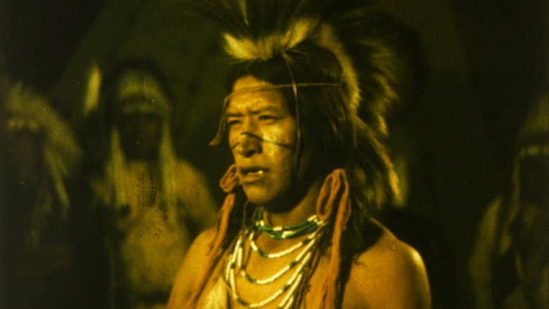 Backdrop from Buffalo Bill's Last Fight
