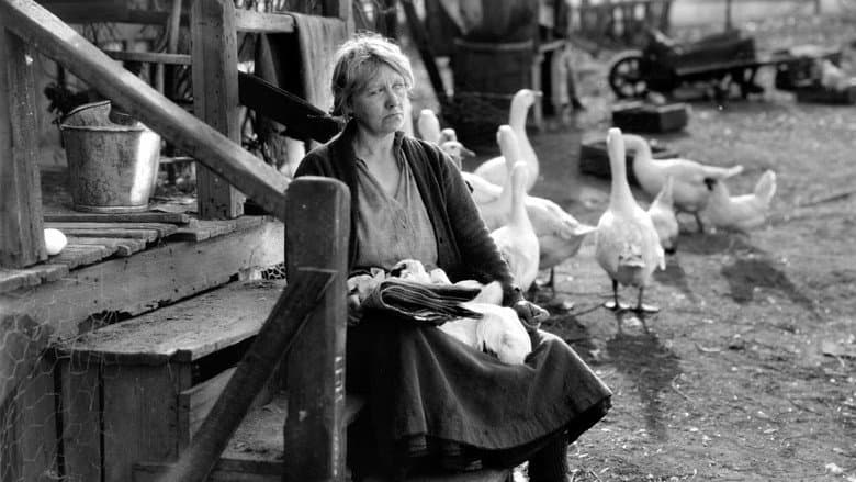Backdrop from The Goose Woman