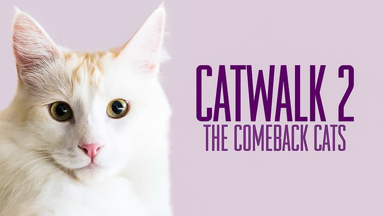 Backdrop from Catwalk 2: The Comeback Cats