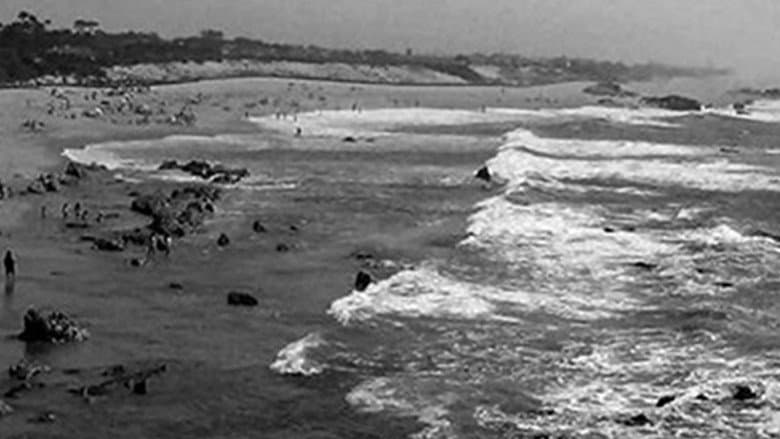 Backdrop from Miramar, Praia das Rosas