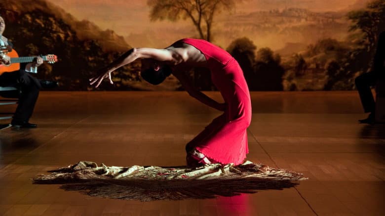 Backdrop from Flamenco Flamenco