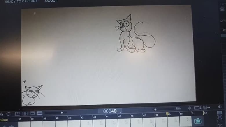 Backdrop from Beluga And CatBox