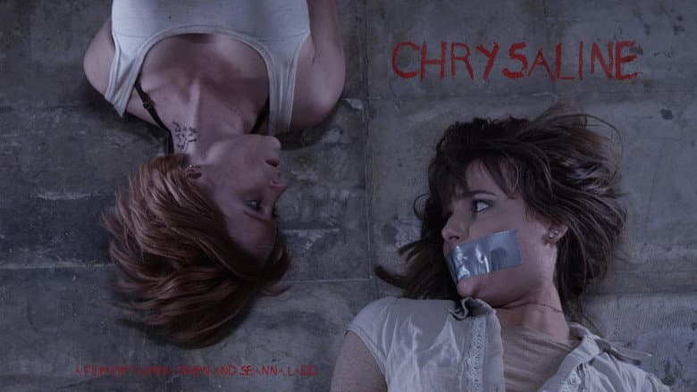 Backdrop from Chrysaline