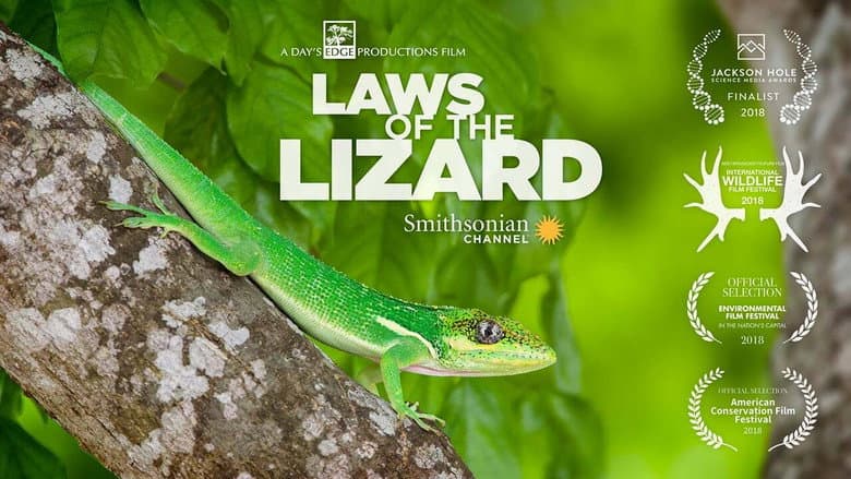 Backdrop from Laws of the Lizard