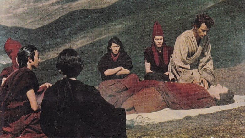 Backdrop from Milarepa