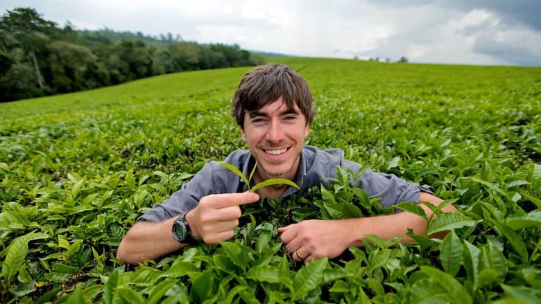 Backdrop from The Tea Trail with Simon Reeve