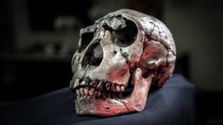 Backdrop from Atapuerca: El Misterio De La Evolucion Humana