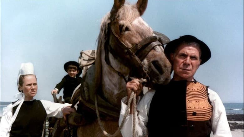 Backdrop from The Horse of Pride