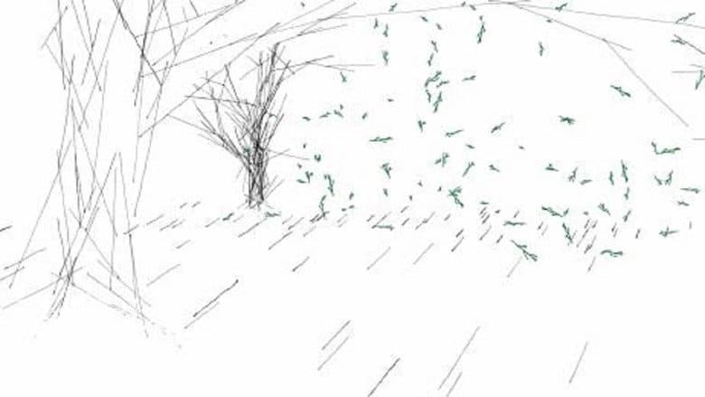 Backdrop from The Train, The Forest