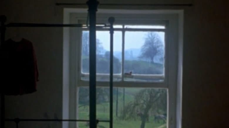 Backdrop from Windows