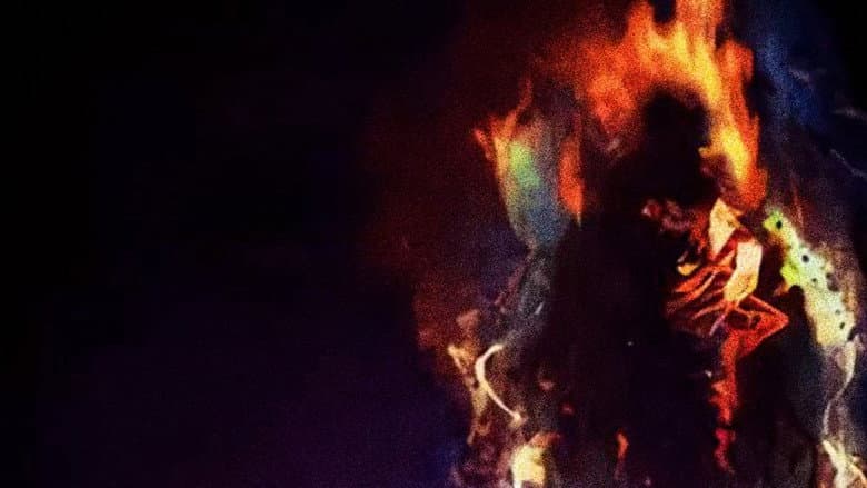 Backdrop from Burning Shadow