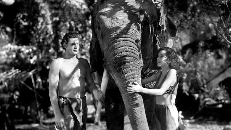 Backdrop from Tarzan and His Mate