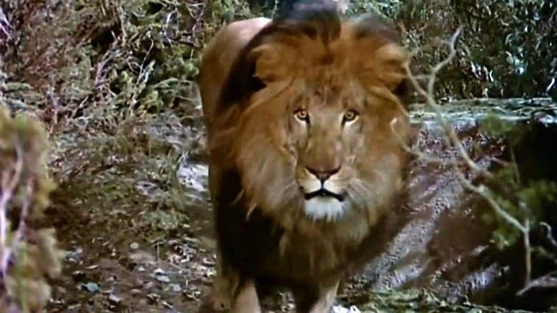 Backdrop from The Lion and the Horse