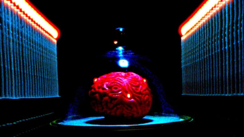 Backdrop from My Dead Wife's New Brain
