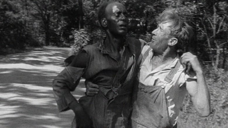 Backdrop from Native Land