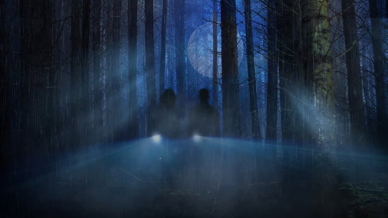 Backdrop from Cryptid