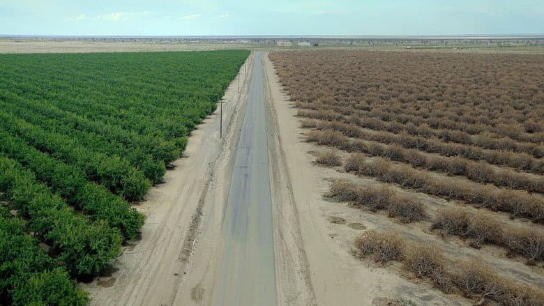 Backdrop from Water & Power: A California Heist