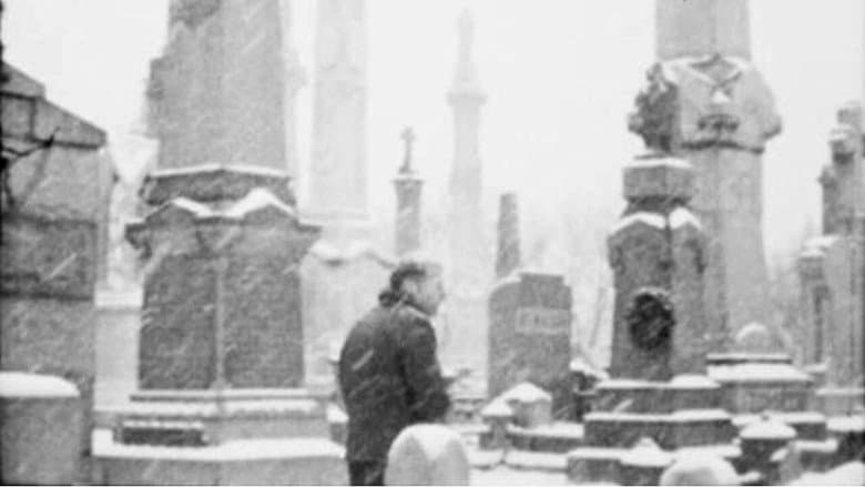 Backdrop from Image in the Snow