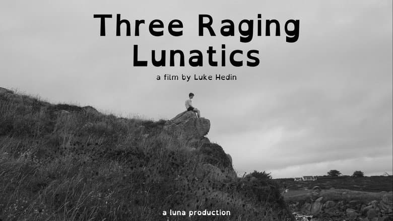 Backdrop from Three Raging Lunatics