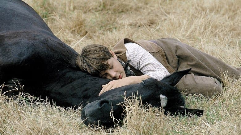 Backdrop from Black Beauty