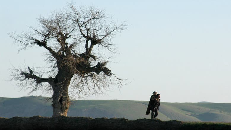 Backdrop from Two-Legged Horse
