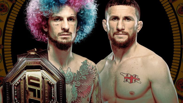 Backdrop from UFC 306: O'Malley vs. Dvalishvili