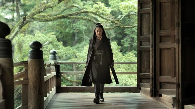 Backdrop from The Assassin