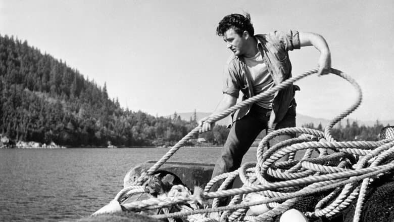 Backdrop from Herring Hunt