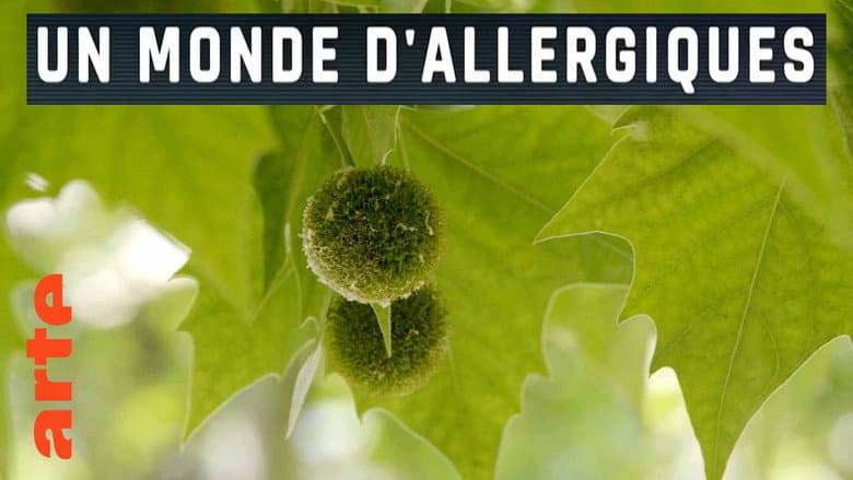 Backdrop from Un monde d'allergiques