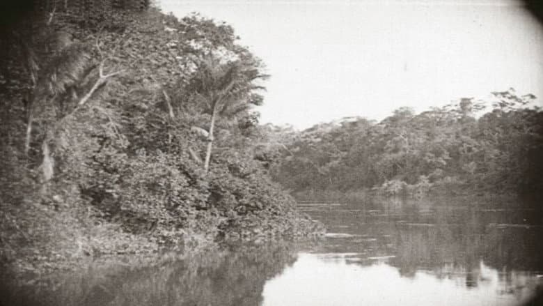 Backdrop from Amazon: Longest River in the World