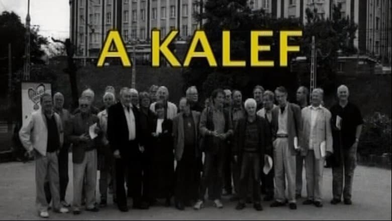 Backdrop from Kalef - A Moszkva téri galeri