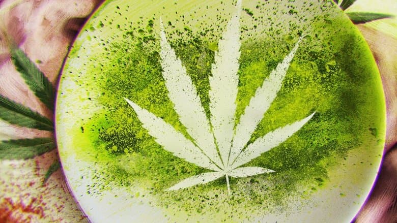 Backdrop from Cooked With Cannabis