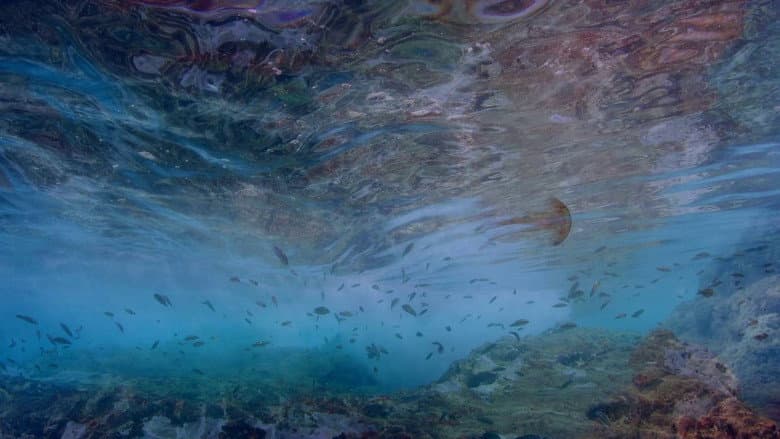 Backdrop from Life in the Blue