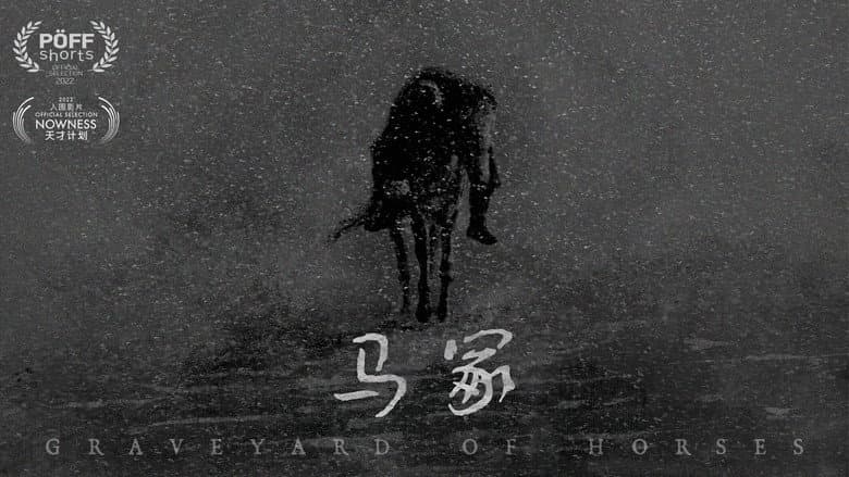 Backdrop from Graveyard of Horses