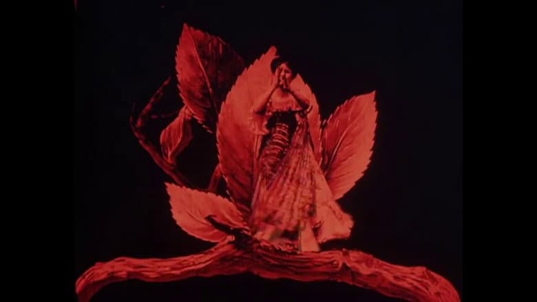 Backdrop from Metamorphosis of a Butterfly