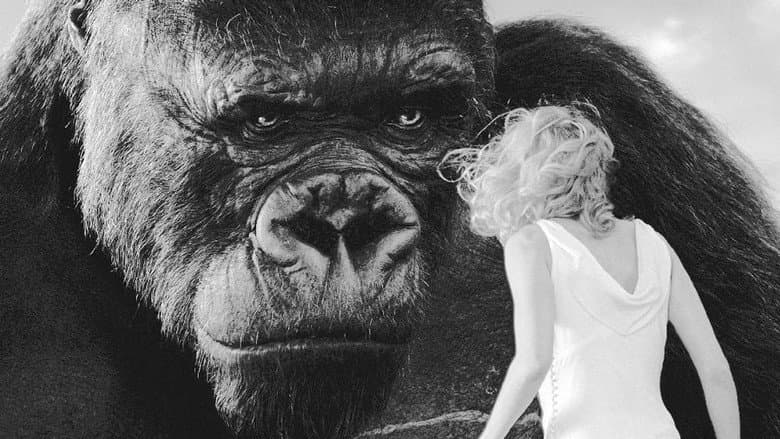 Backdrop from King Kong: Monster and Myth