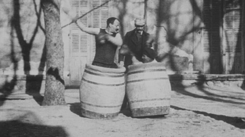 Backdrop from Boxers in Barrels