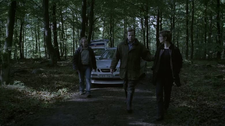 Backdrop from Wallander: Before the Frost