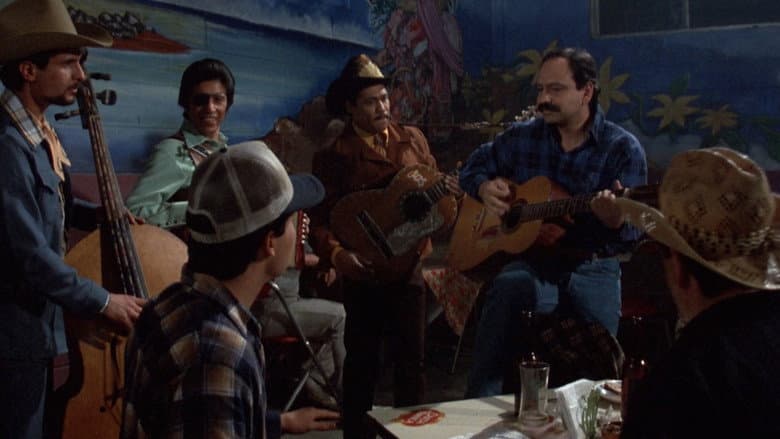 Backdrop from Born in East L.A.