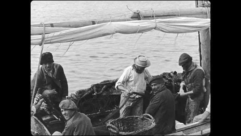 Backdrop from Sardine Fishing