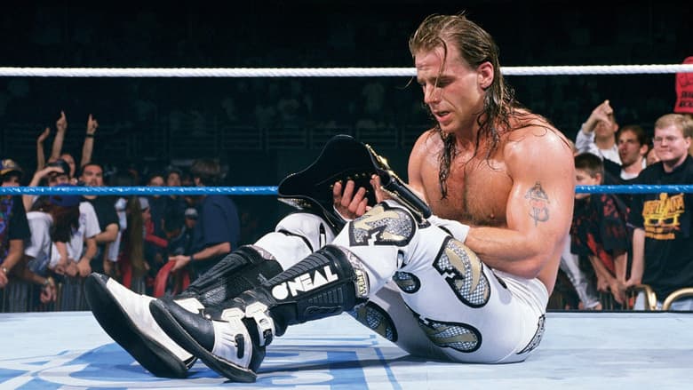 Backdrop from WWE WrestleMania XII
