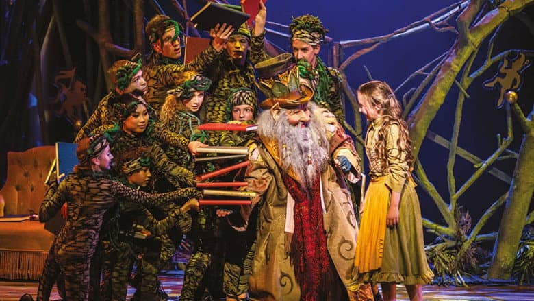 Backdrop from Sprookjessprokkelaar de musical - Efteling Musical