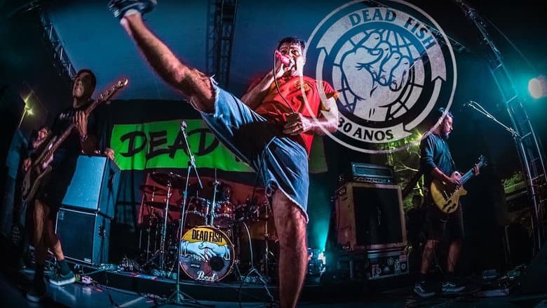 Backdrop from Dead Fish: 30+1