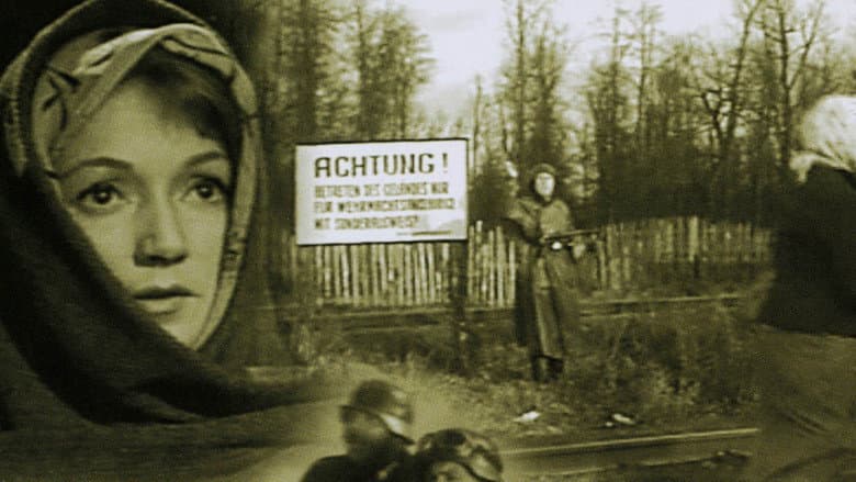 Кадр із фільму «Викликаємо вогонь на себе»