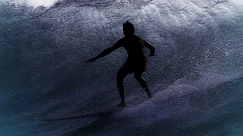 Backdrop from Surf Crazy