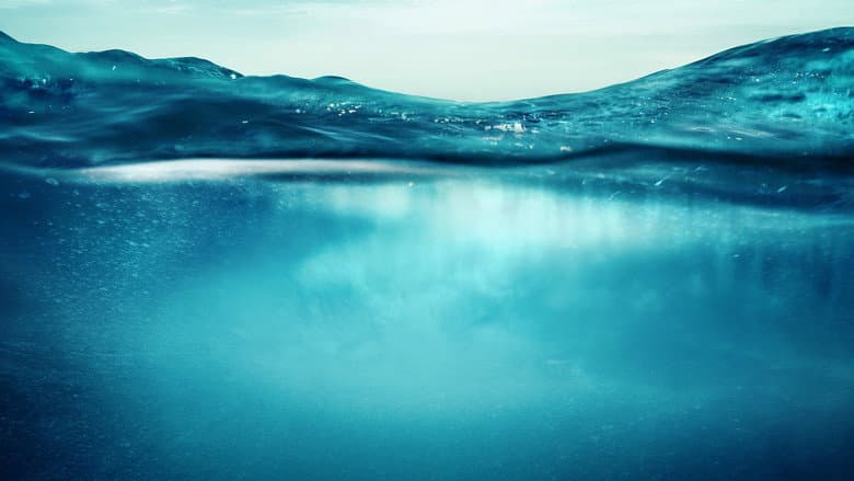 Backdrop from Lessons from the Water: Diving with a Purpose