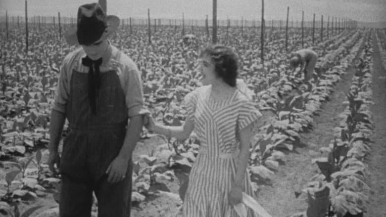 Backdrop from The Rose of Kentucky