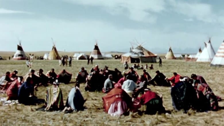 Backdrop from Circle of the Sun